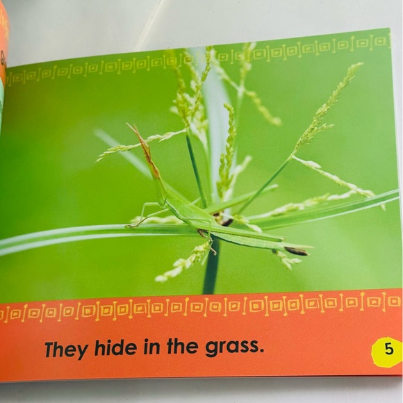 Grasshopper Gets Away Mini Kids Facts Picture Book - Picture 3 of 5